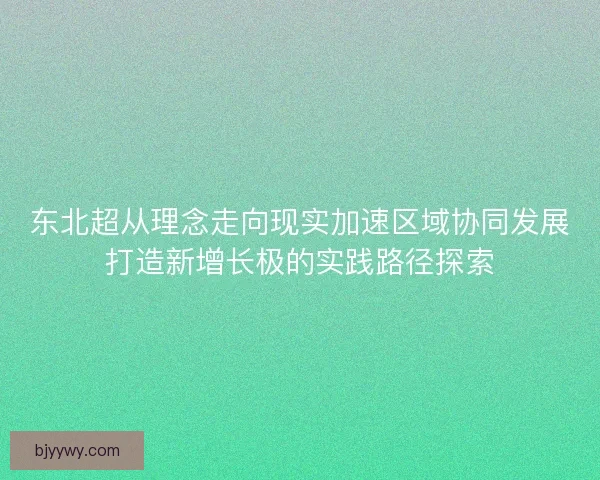 东北超从理念走向现实加速区域协同发展打造新增长极的实践路径探索